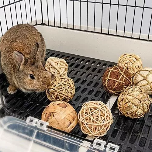 Juguetes Para Conejos 8 Pelotas De Textura