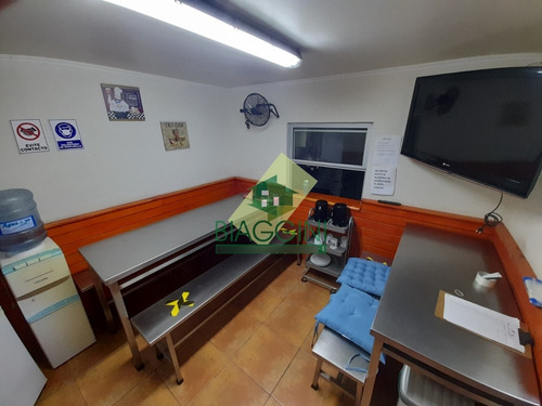 Id 39209 Hostal Calle Adamson