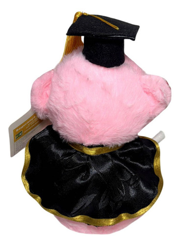 Boneco De Pelúcia Pequeno Urso Ursinho Rosa Formando - Vestido Com Traje Capelo E Diploma - Presente De Formatura - Dk Toys