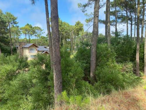 Lote En Venta Zona Alamos (tres Carabelas E/ Garzas Y Calandria)