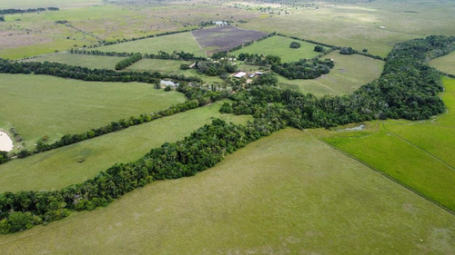 Imagen 2 de 27 de Se Vende Finca El Maitero Via El Sur De Monagas Ve02-1098vs-mtru