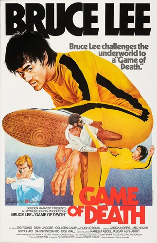 comprar Posters Cine Bruce Lee Afiches Películas Banner 90x60 Cm