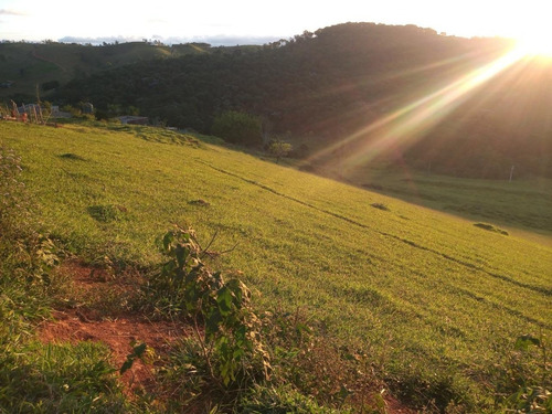 Imagem 5 de 8 de 06- Lotes De 2.500m² Em Santa Isabel Apenas 99.900 Esse Final De Semana