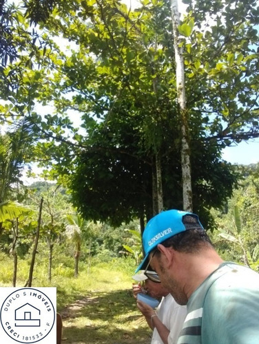 Imagem 5 de 16 de Chácara Em Itanhaém , Bairro Vergara , Isolada, Lado Morro - 6530 - 69937489