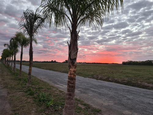 Imagen 22 de 27 de Lote - Venta - Praderas De Cardales - Alto Los Cardales - Zona Norte