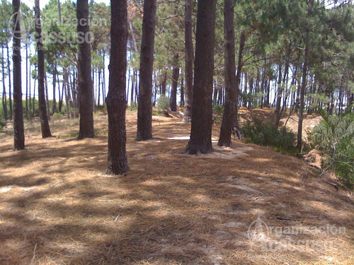 Terreno En Venta En Laguna Del Diario - Punta Del Este - Excelente Inversión - Apto Ph