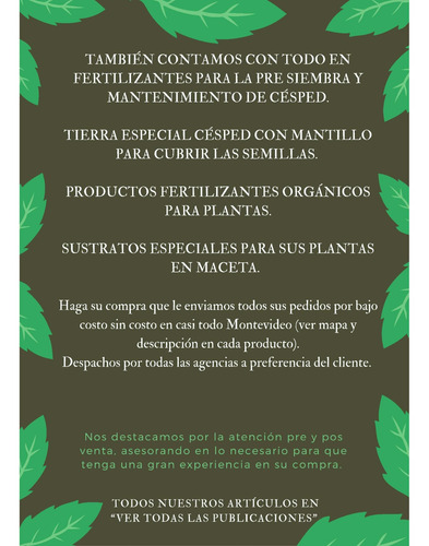 Imagen 2 de 6 de Semillas Césped Bermuda Ideal Verano - Canchas Jardines 25kg