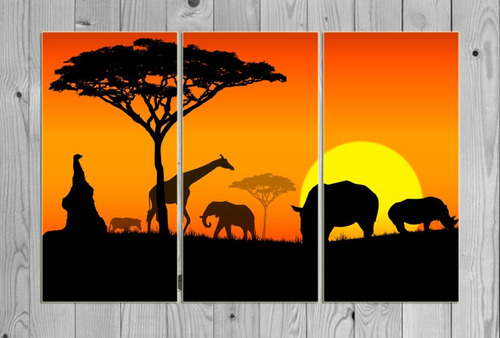 Cuadro 40x60cm Paisaje Animales Africa Atardecer