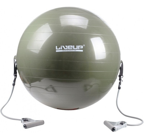 Bola Suíça Para Pilates 65 Cm Com Extensores Liveup Ls3227