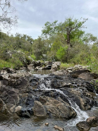 Imagen 4 de 11 de Campo En Carape - Con Hermosa Cañada - Oportunidad !!!!! - Zona Rural
