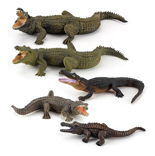 Modelo De Cocodrilo 5 Piezas
