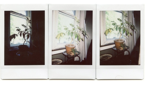 2 Rollos Fuji Instax Mini Instant Lomo Color Borde Blanco