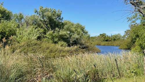 Campo 17 Has Con 9550 M2 Con Costa De Arroyo