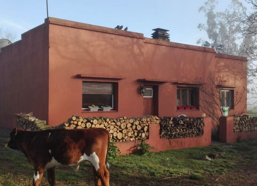 Chacra En Balcarce De 5 Hectáreas 