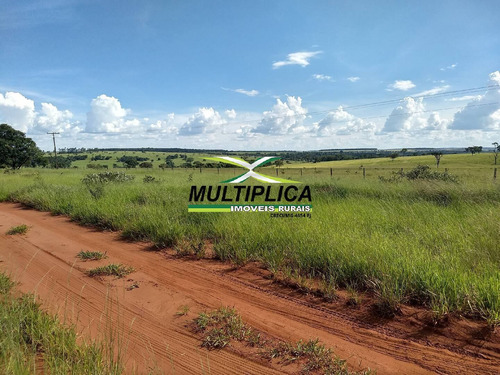 Oportunidade Chácara À Venda Uberlândia 20.000 M² Por R$ 130.000, Financia - 394