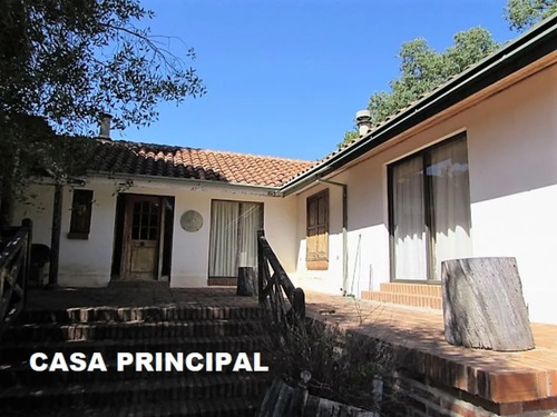 Cauquenes // Viña // Campo Productivo (169679)