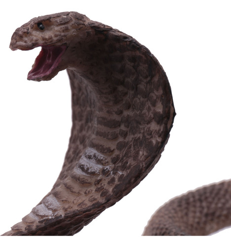 Modelo De Reptil Con Simulación De Queenly Para Cobra Snake