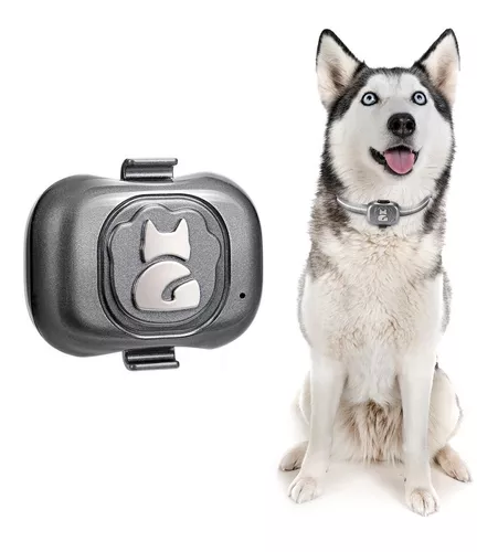  Kit de collar de cámara todo incluido para perros y gatos,  cámaras secretas de 1080p para espionaje, audio inalámbrico oculto,  videocámara espía y cámaras de vigilancia discretas para el hogar, cámara