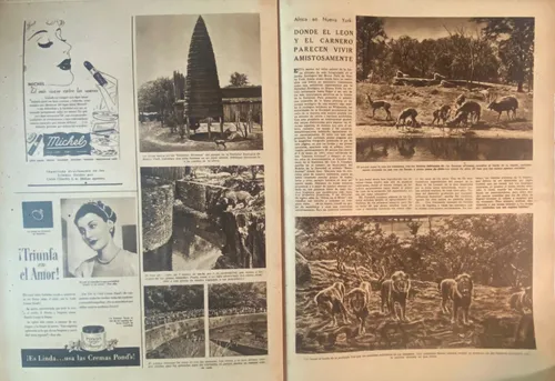 Antiguo El Día N° 691 Campeones Ciclismo Y Remo 1946 B8 (Usado)