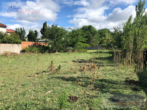 Imagen 5 de 6 de Terreno - City Bell