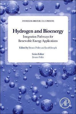 Libro Hydrogen, Biomass And Bioenergy : Integration Pathw...