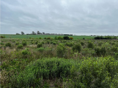 Vendo Lote De 1 Hectárea En San Justo, Entre Ríos.