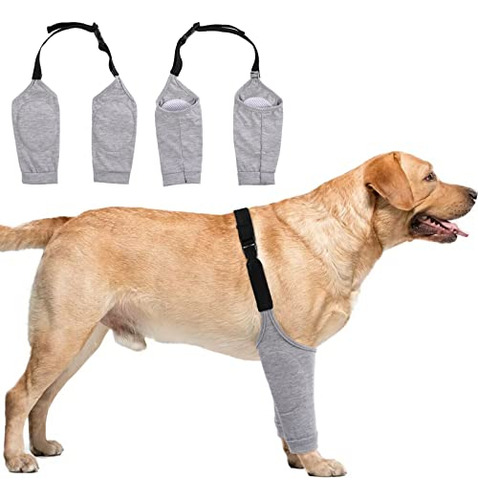 Traje De Recuperación Para Perros Para Patas Delanteras, Ma