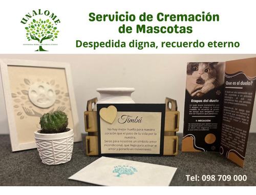 Servicio De Cremación Para Mascotas - Unalome