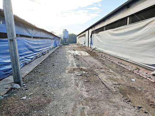 Imagem 16 de 30 de Sítio Com 3 Dormitórios À Venda, 54691 M² Por R$ 2.300.000,00 - Pau Queimado - Piracicaba/sp - Si0033