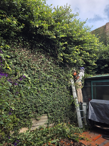 Paisajismo Jardinería Sistemas De Riego Parquizacion Podas