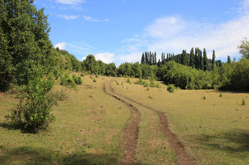 Campo De 326 Hectáreas En Llanada Grande, Cochamó.