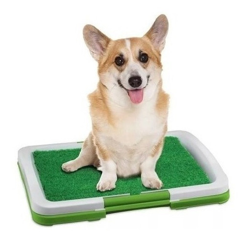 Baño Ecológico Portátil Para Mascotas - Perro 