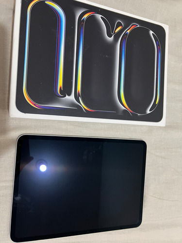 Apple iPad Pro M4 256gb 11 (wi-fi) 8gb Ram Prateado (Usado)