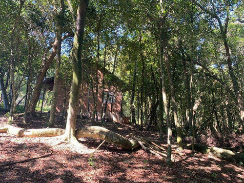 Imagem 12 de 15 de Chácara Para Venda Em Novo Hamburgo, Lomba Grande, 1 Dormitório, 1 Banheiro - 10058_2-1292120