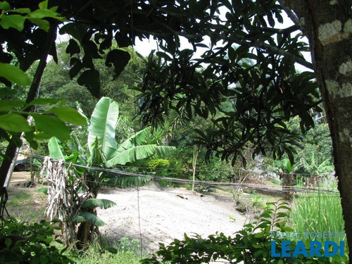 Imagem 7 de 8 de Area - Laranja Azeda - Sp - 395483