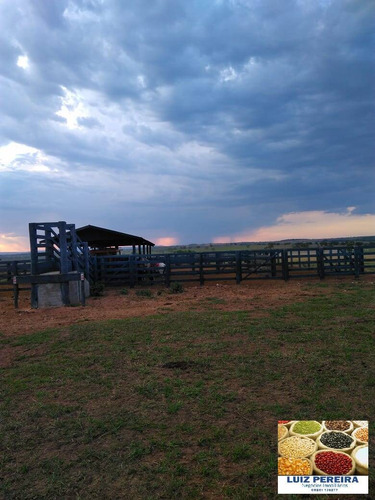 Imagem 8 de 8 de Fazenda À Venda Em Camapuã - Ms - De 865 Hectares (pecuária) - 1674
