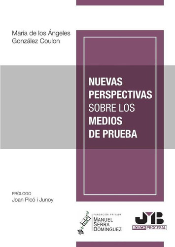 Nuevas Perspectivas Sobre Los Medios De Prueba - María De...