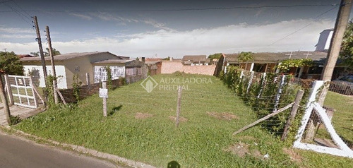 Imagem 5 de 5 de Terreno - Zona Nova - Ref: 357838 - V-357838