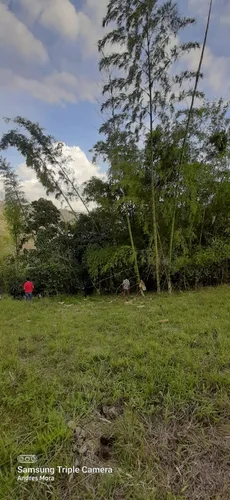 Se Vende Lote - Ubaque