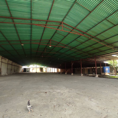 Imagen 11 de 14 de Galpón En Venta Zona Industrial Tinaquillo