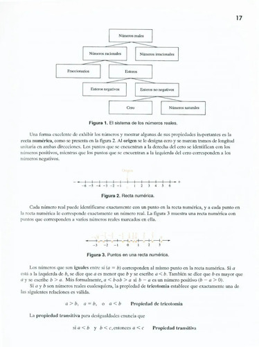 Algebra Y Trigonometría Con Aplicaciones, De Johnson, L. Murphy Steffensen, Arnold R.. Editorial Trillas, Tapa Blanda, Edición 1994 En Español, 1994