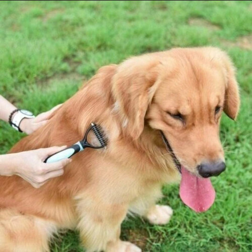 Cepillo Peine Saca Nudos Cabezal Doble Perros Gatos Grande
