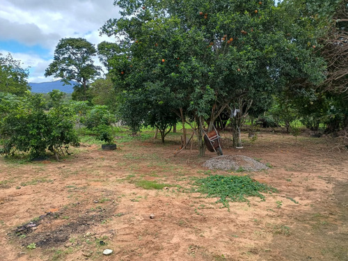 Chácara Com Casa Três Quartos Sala De Estar Cozinha E Dois B