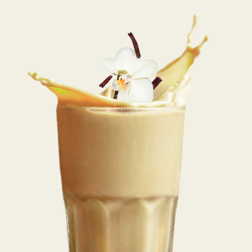 Wild Protein Batido Proteico Shake Sabor Vainilla 990g Vainilla