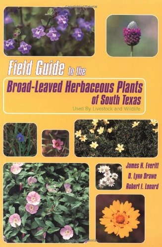 Field Guide To The Broadleaved Herbaceous Plants Of South Te