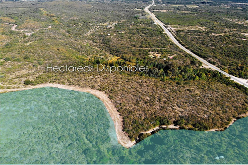 Imagen 13 de 24 de 5 Hectáreas 6 Lotes De 1000m2 Sobre Ruta Nº 1 - Cortadera