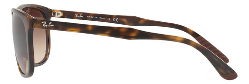 Anteojos De Sol Ray-ban Rb4291 58, Diseño Carey Brillo / Sepia Degrade, Color Negro Con Marco De Nailon Color Carey Brillo, Lente Sepia Degrade De Policarbonato Degrade, Varilla Carey Brillo De Nailon