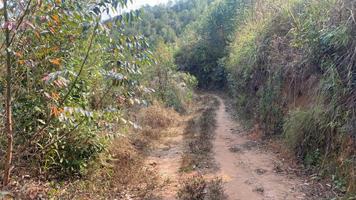 Imagem 8 de 14 de 7a Igaratá Terrenos