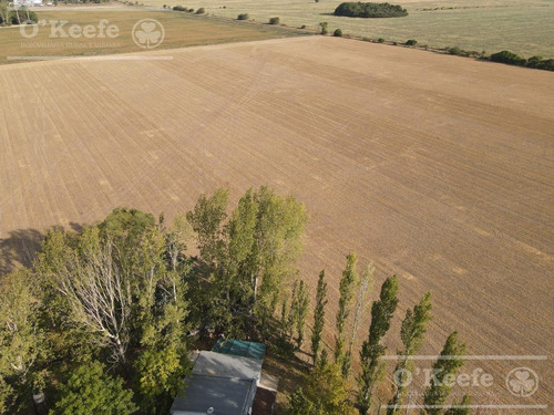 Imagen 5 de 30 de Chacra En Venta De 17 Has En San Andres De Giles. Excelente Casco