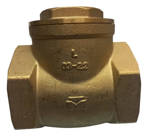 comprar Valvula Check Horizontal Columpio 2 Pulgadas Tipo Tee B&k 